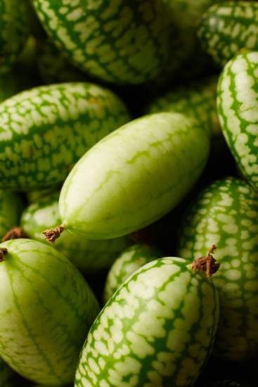 cornichons